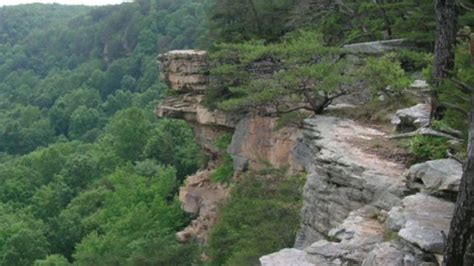Tennessees State Parks Offering Free Guided Hikes In June Wcyb