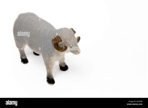 One Plasticrubber Grey Ram Toy On White Background Stock Photo Alamy