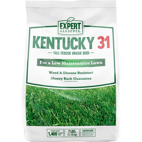 Expert Gardener Kentucky 31 Tall Fescue Ky 31 Grass Seed 7 Pound Bag