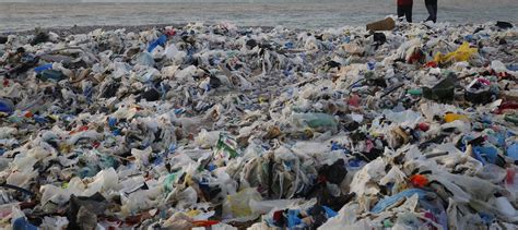 12 Plastic Pollution Facts That Show Why We Need To Do More