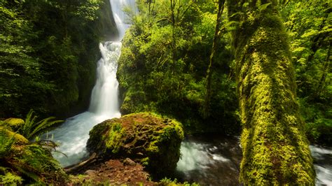 Green Forest Waterfall Hd Wallpaper Background Image 2048x1152 Id