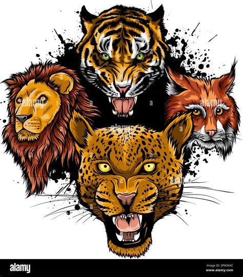 Cartoon Big Cats Vector Set Illustration Of Cougar Jaguar Leopard