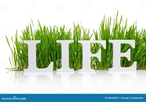 Word Life With Fresh Grass Royalty Free Stock Photography Image 36940567