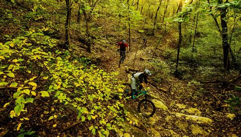 A Day In The Life Of A Mountain Bike Trail Builder — North Georgia