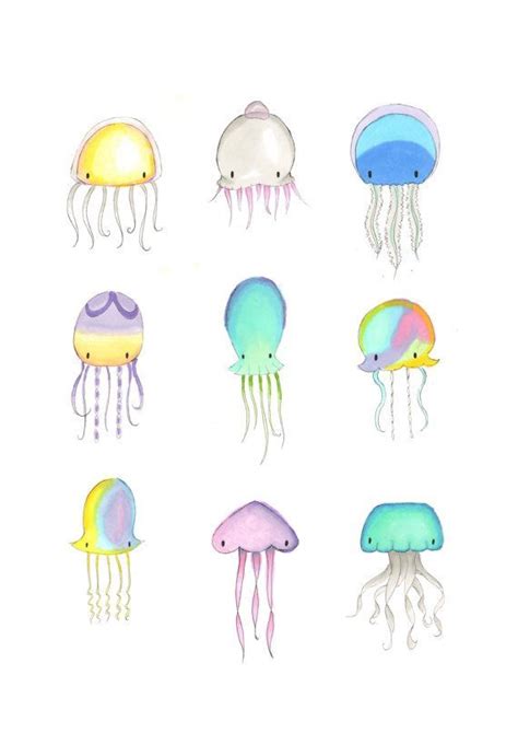 Jellyfish Jellyfish Illustration Jellyfish Painting Art