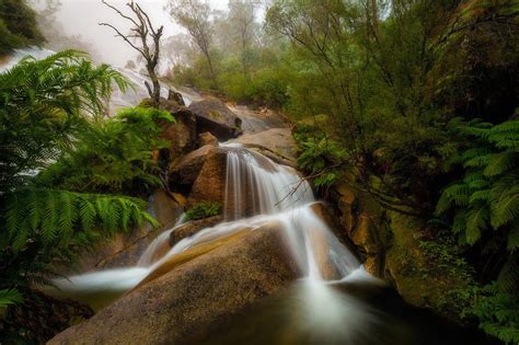 Banco De Imágenes Gratis 20 Fotos De Paisajes Naturales Que Tienes Que