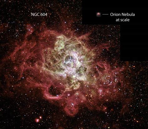 Gigantic Ngc 604 100x The Orion Nebula Brownspaceman