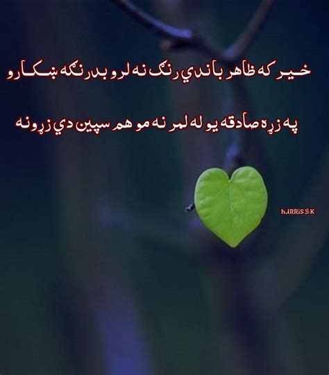 Pin By ᕼᏗᖇᖇiᔕ෴ӄ On پښتو شعرونه Pashto Poetry Poetry Lines Pashto