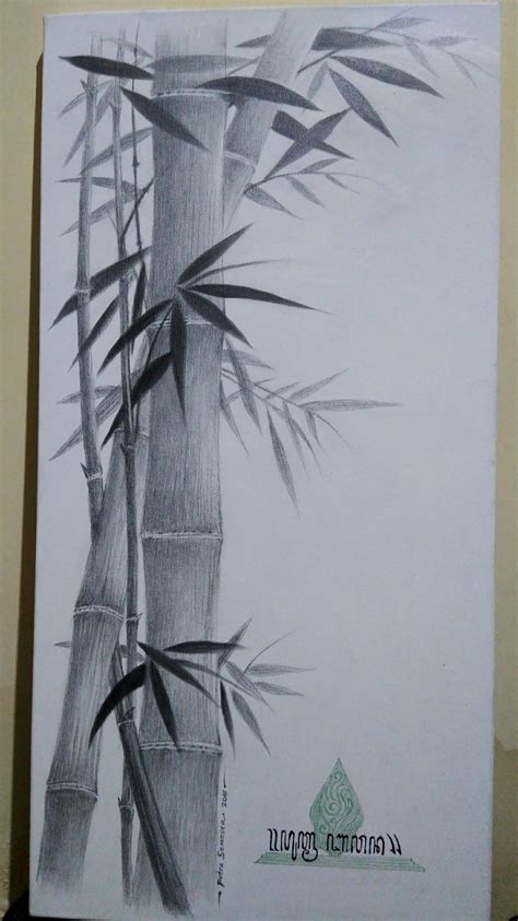Sketsa Pohon Bambu Satu Trik