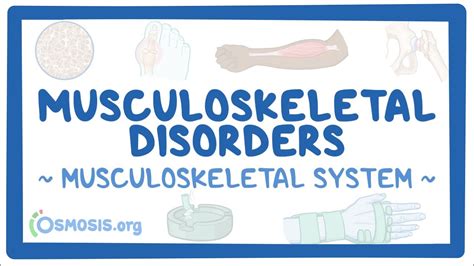 Musculoskeletal System Musculoskeletal Disorders Osmosis Video Library