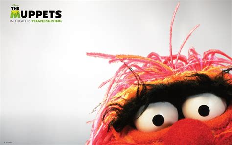 Animal Muppets Wallpapers On Ewallpapers