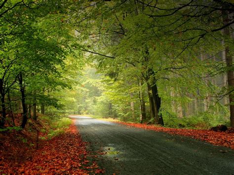 3d Nature Wallpapers Beautiful Roads Nature Wallpaper