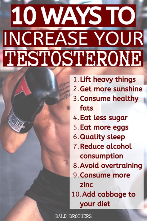 Increase Testosterone Artofit