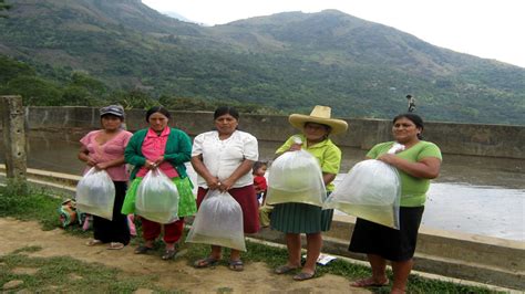 Piura Pobreza Se Redujo En Los últimos 5 Años Y Fue Mayor En Las