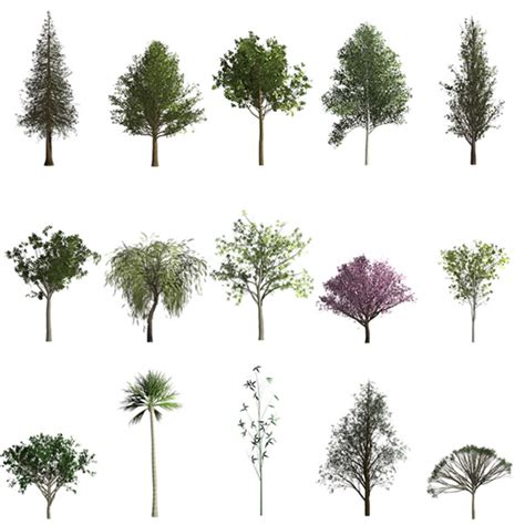 Photoshop Has A Curious Feature To Easily Grow Trees And Forests In