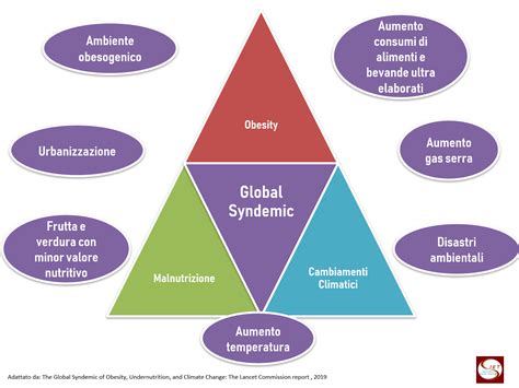 Obesità Denutrizione Cambiamenti Climatici Sindemia Globale La