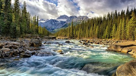 Alberta Canada Rocky Mountain River Riverbed With Rocks