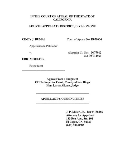 Appellate Brief By Ducote Pdf Child Custody Appeal