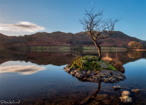 Lone Tree At Rydal Water By Pistolpete2007 On Deviantart