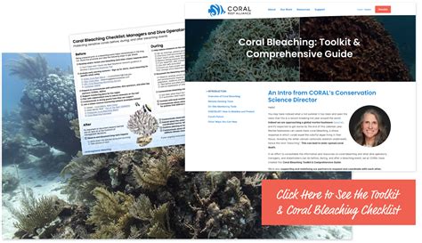 Introducing The Coral Bleaching Toolkit And Comprehensive Guide A
