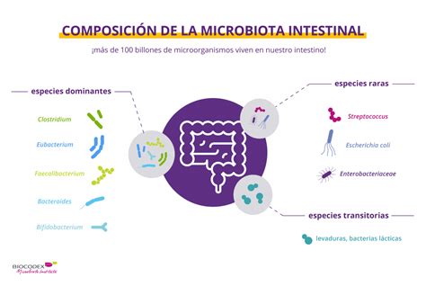 La Microbiota Intestinal Contenido Para El Público General