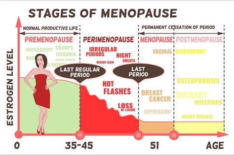 Stages And Symptoms Of Menopause Illustrations Creative Market