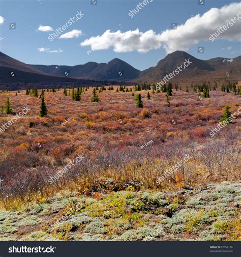 Fall Colored Alpine Tundra Landscape In The Yukon Territory Canada