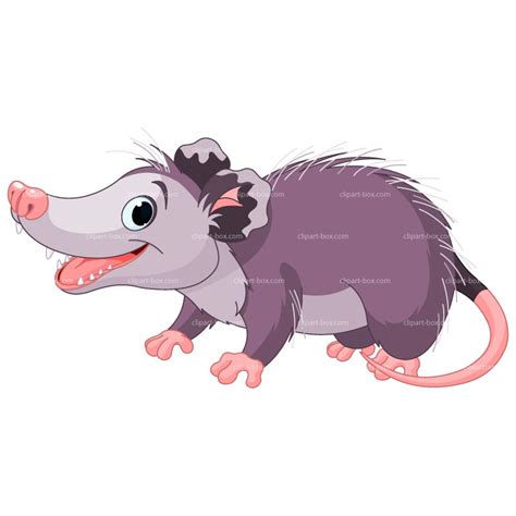 47 Possum Clipart Clipartlook