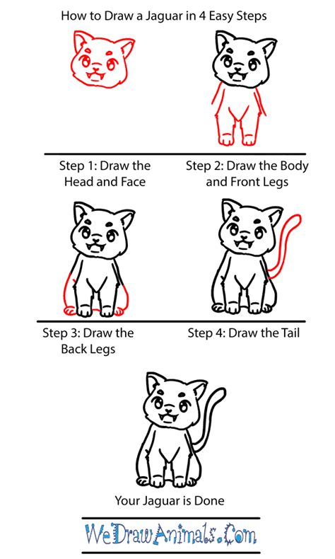 How To Draw A Baby Jaguar