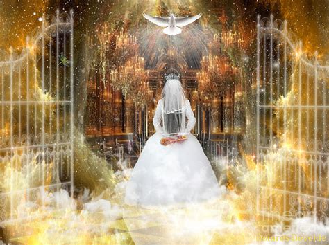 Pure Bride Digital Art By Dolores Develde