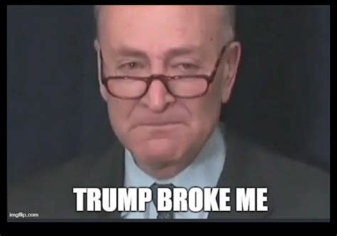 Trump Reminds Cryin Chuck Schumer That Daca Negotiations Must Include A Wall