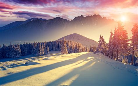 Winter Schnee Kälte Berge Bäume Fichte Himmel Sonnenaufgang
