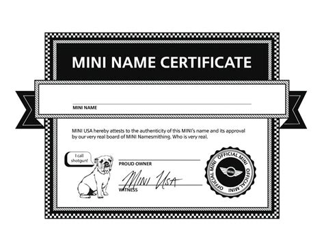Official Certificate Of Your Minis Name North American Motoring