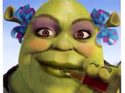 Shrek Memes Clean Face Bhe