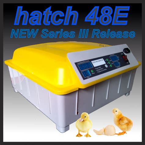 Incubator For Chicken Eggs India Price Learn How ~ Makers