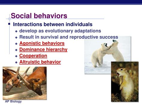 Ppt Animal Behavior Chapter 51 Powerpoint Presentation Free Download