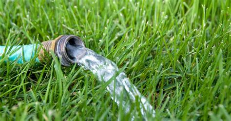 How To Determine The Watering Needs Of Your Bermuda Grass My Heart
