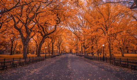 Central Park Wallpapers Hd For Desktop Backgrounds 6aa