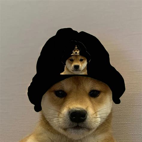 Infinite Dog Wif Hat Rdogwifhatgang