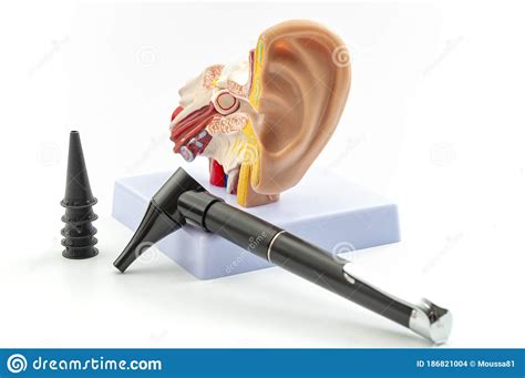Ent Or Otolaryngology Appointment Deafness Prevention And Hearing