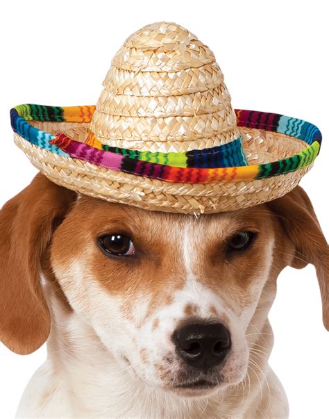 Dog Mexican Multicolor Sombrero Halloween Party Pet Hat Ml Ebay