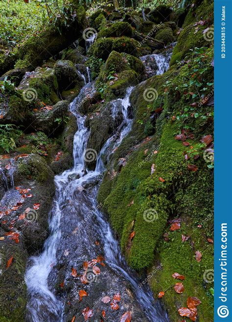 Colorful Autumnal Landscape Of A River In The Forest Stock Image