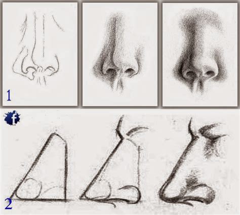 How to draw nose for beginners/ easy way to draw a realistic nose. 2014 - Learn To Draw And Paint