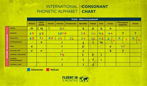 Ipa Phonetic Alphabet Chart Konsonan Sexiezpix Web Porn