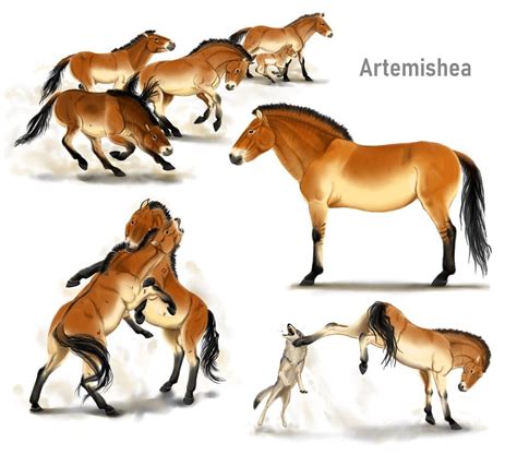 Artstation Przewalskis Horse Concept