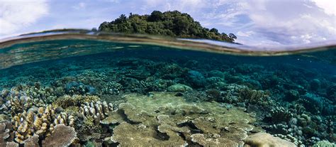 It may be the youngest part of indonesia. Papua New Guinea snorkeling tour - Coral Triangle Adventures