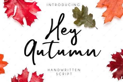 Hey Autumn Script Fonts Creative Market