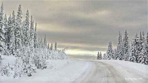 Northern Interior British Columbia Winters December 2015 Snowfall 3