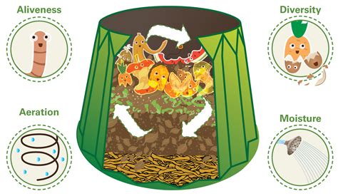 Composting Tutorial I Dig Compost