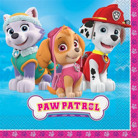 Girl Paw Patrol Party Napkins Paw Patrol Girl Birthday Party Supplies